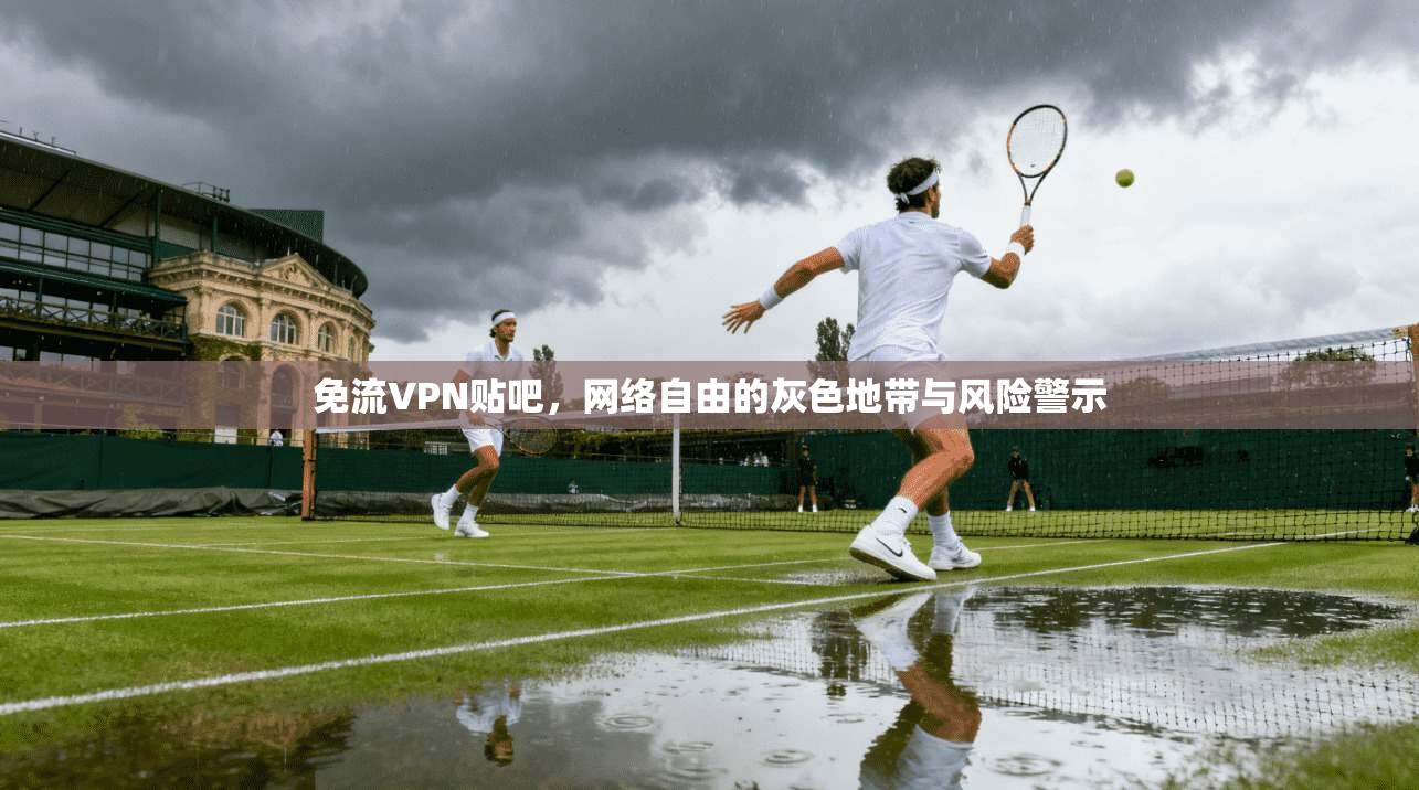 免流VPN贴吧，网络自由的灰色地带与风险警示
