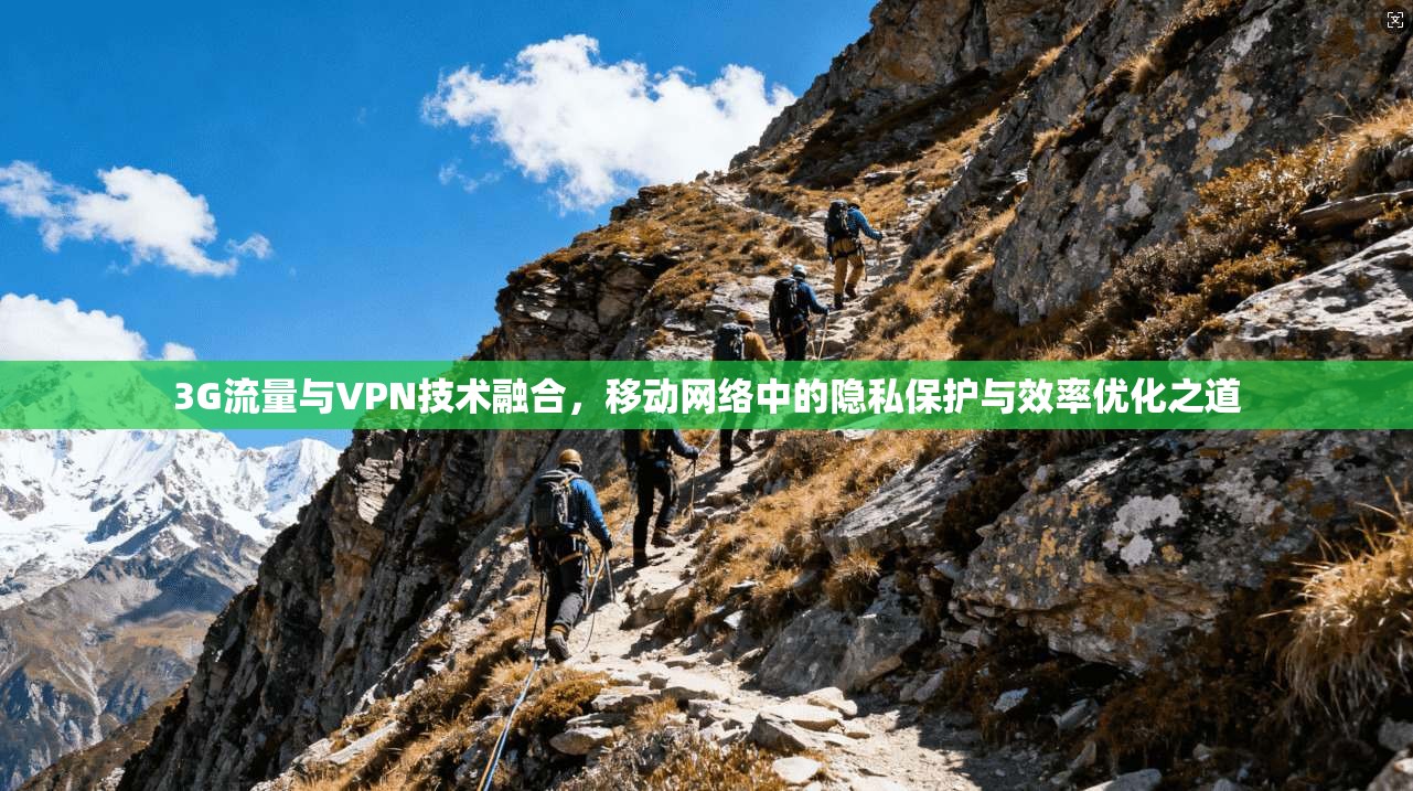 3G流量与VPN技术融合，移动网络中的隐私保护与效率优化之道