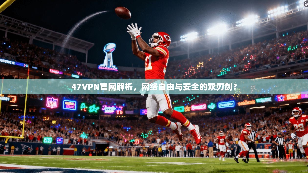 47VPN官网解析，网络自由与安全的双刃剑？