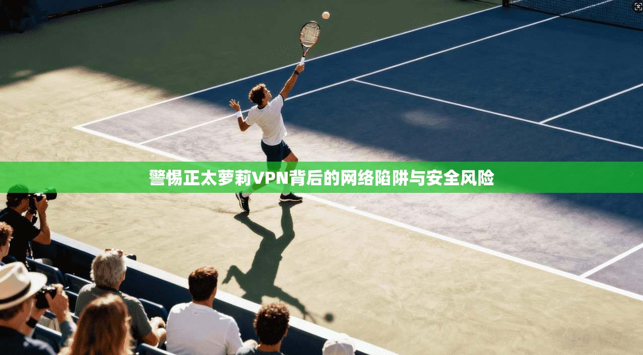 警惕正太萝莉VPN背后的网络陷阱与安全风险