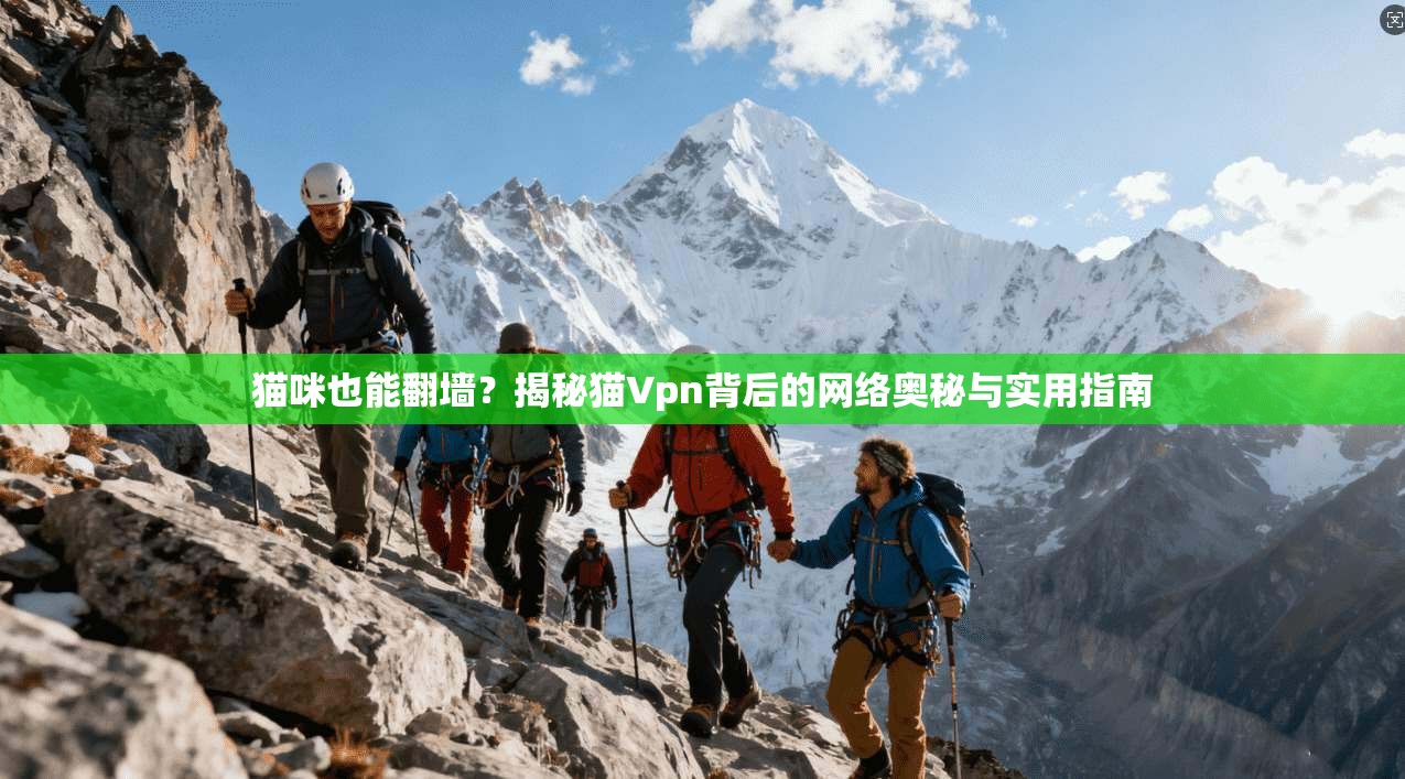 猫咪也能翻墙？揭秘猫Vpn背后的网络奥秘与实用指南