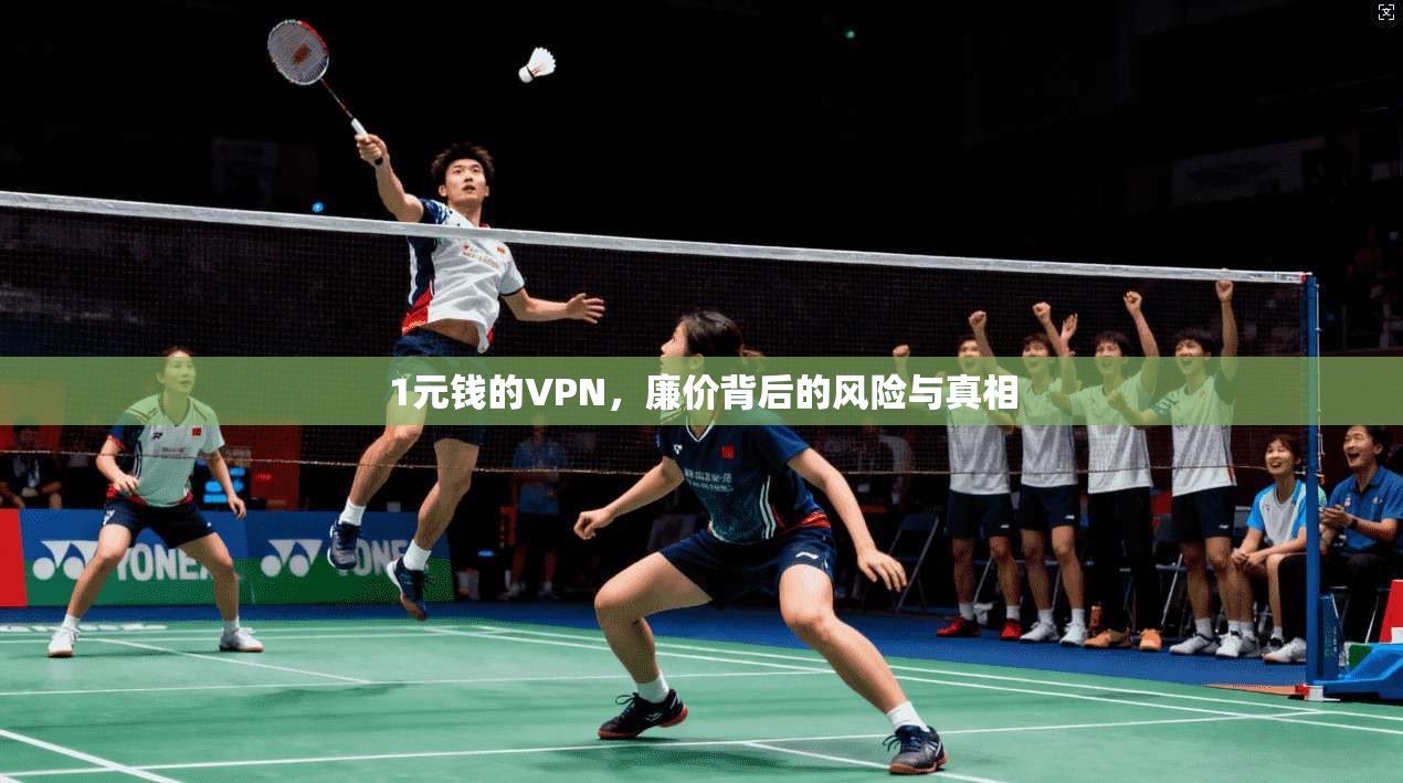 1元钱的VPN，廉价背后的风险与真相