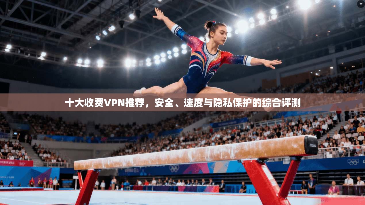 十大收费VPN推荐，安全、速度与隐私保护的综合评测
