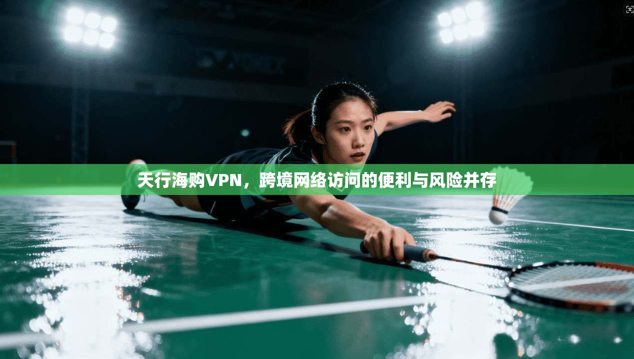 天行海购VPN，跨境网络访问的便利与风险并存