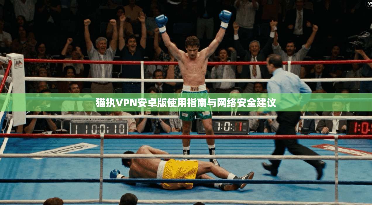 猫执VPN安卓版使用指南与网络安全建议