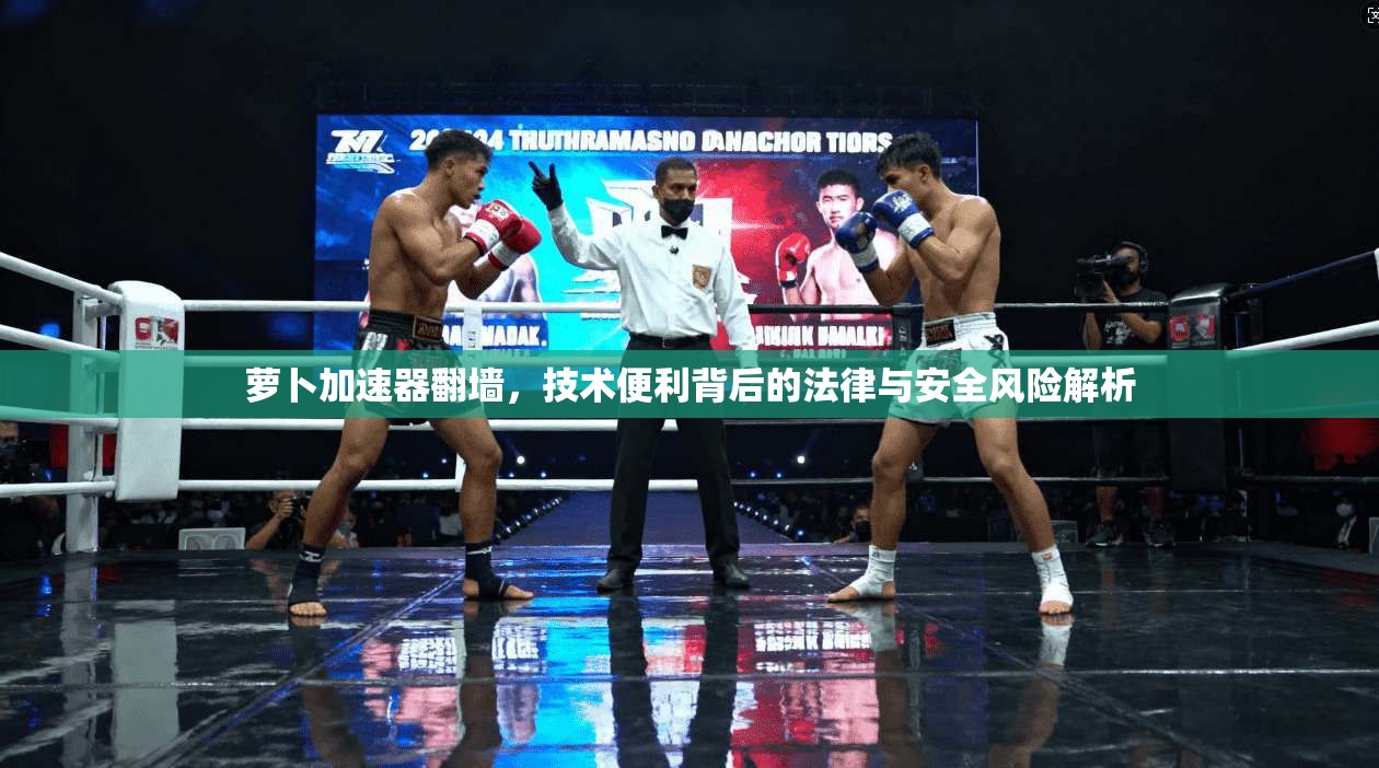 萝卜加速器翻墙，技术便利背后的法律与安全风险解析