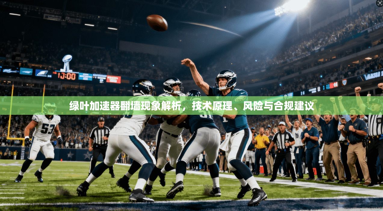 绿叶加速器翻墙现象解析，技术原理、风险与合规建议