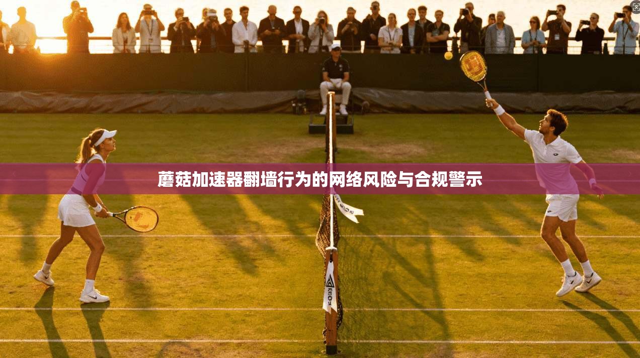 蘑菇加速器翻墙行为的网络风险与合规警示