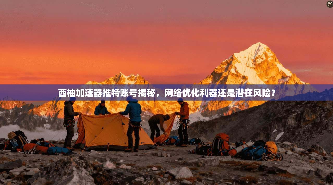 西柚加速器推特账号揭秘，网络优化利器还是潜在风险？