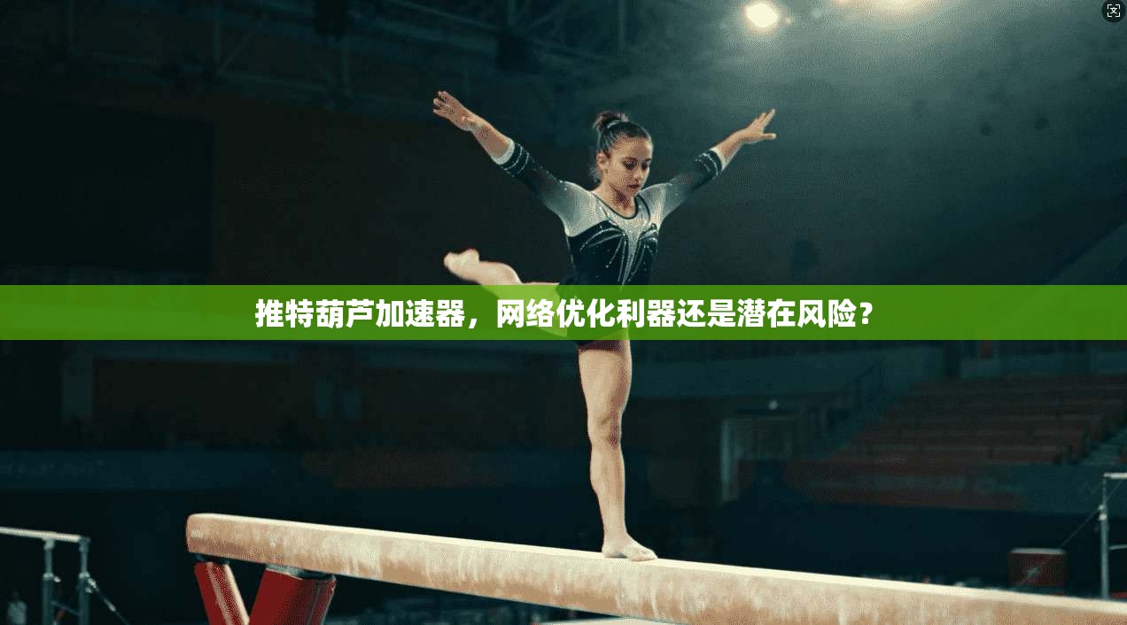 推特葫芦加速器，网络优化利器还是潜在风险？