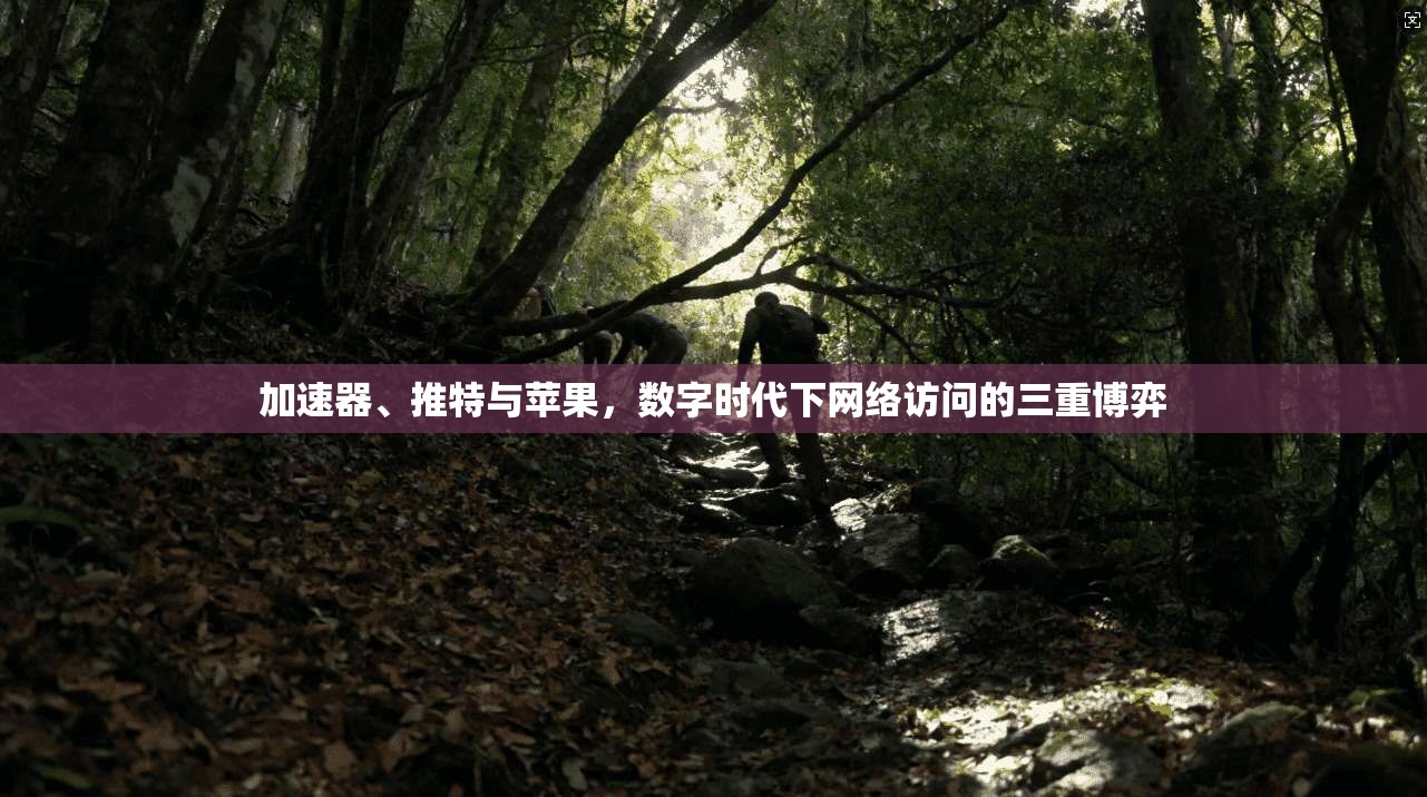 加速器、推特与苹果，数字时代下网络访问的三重博弈