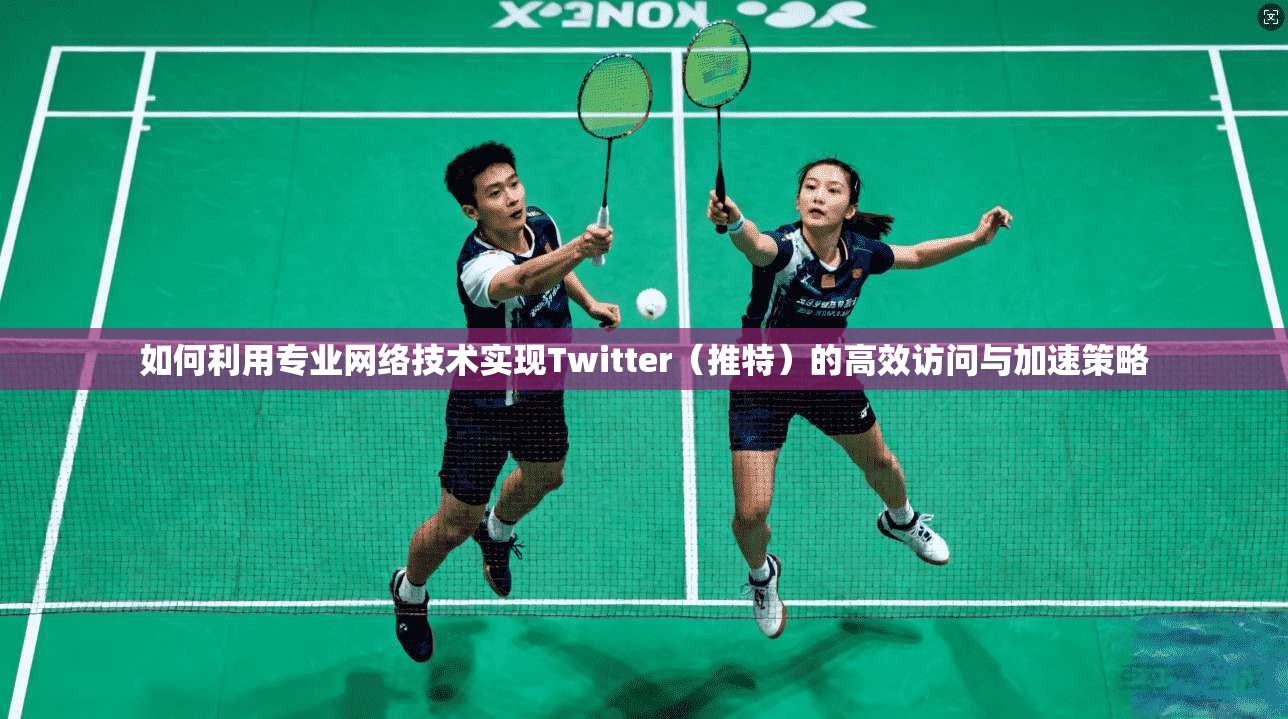 如何利用专业网络技术实现Twitter（推特）的高效访问与加速策略