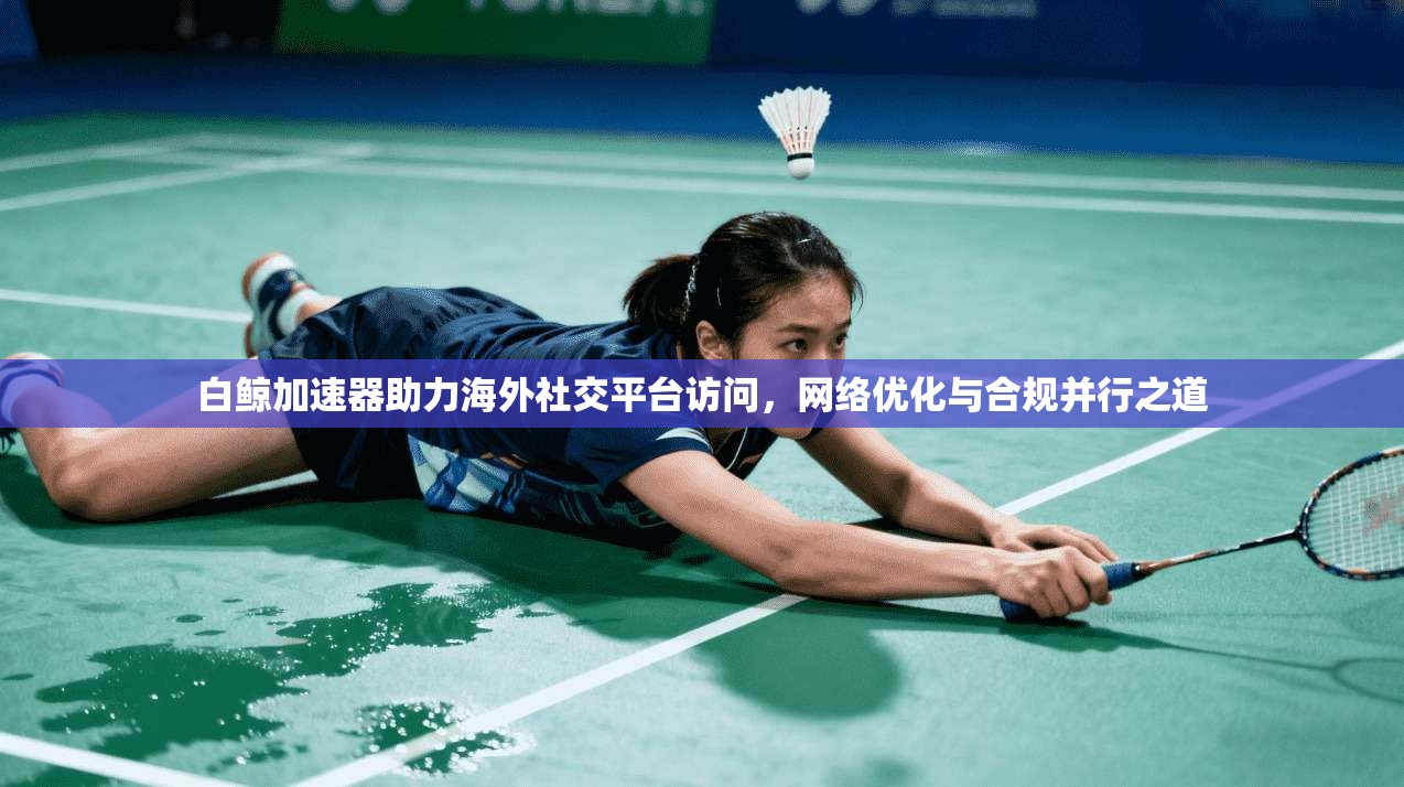 白鲸加速器助力海外社交平台访问，网络优化与合规并行之道