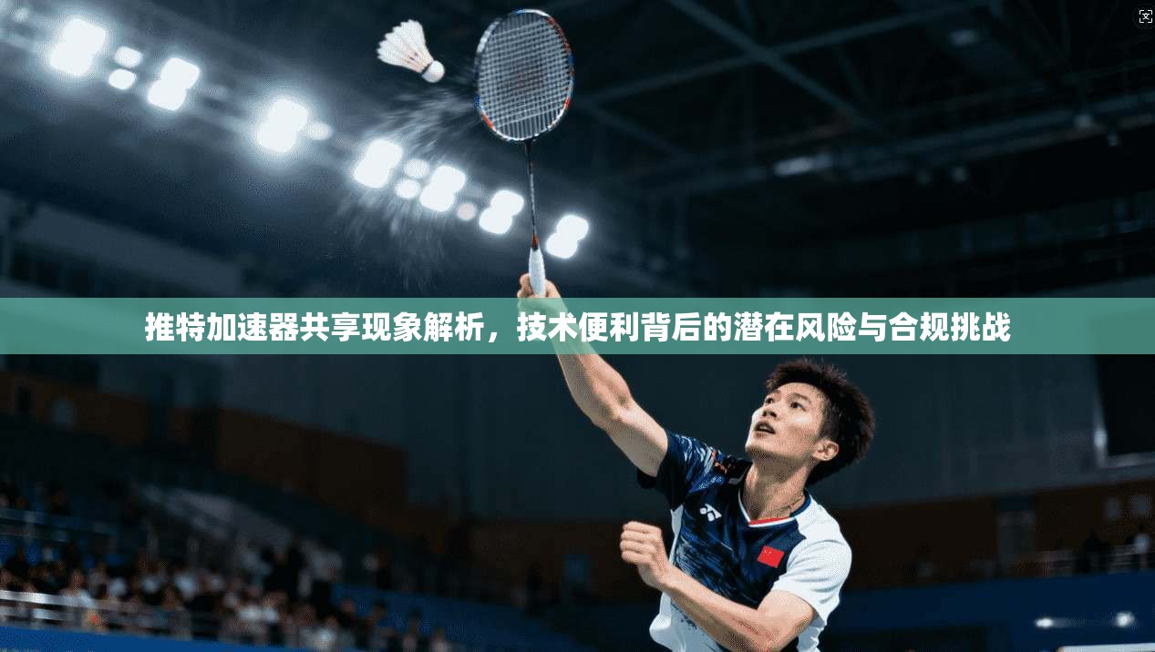 推特加速器共享现象解析，技术便利背后的潜在风险与合规挑战