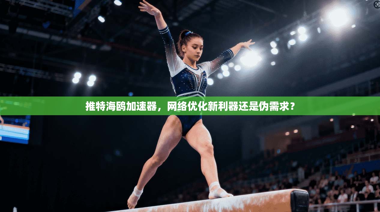 推特海鸥加速器，网络优化新利器还是伪需求？