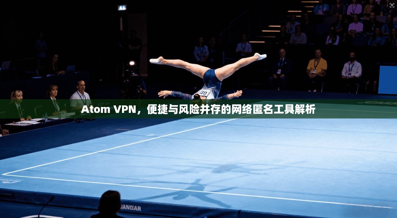 Atom VPN，便捷与风险并存的网络匿名工具解析