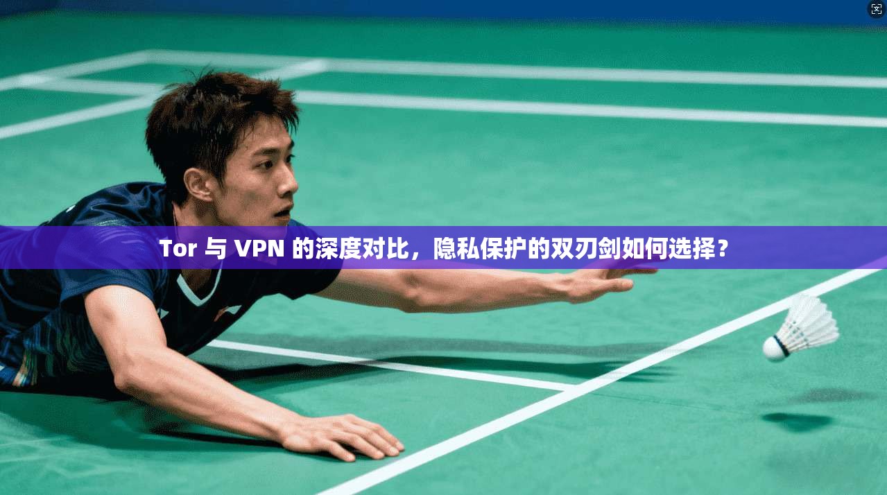 Tor 与 VPN 的深度对比，隐私保护的双刃剑如何选择？