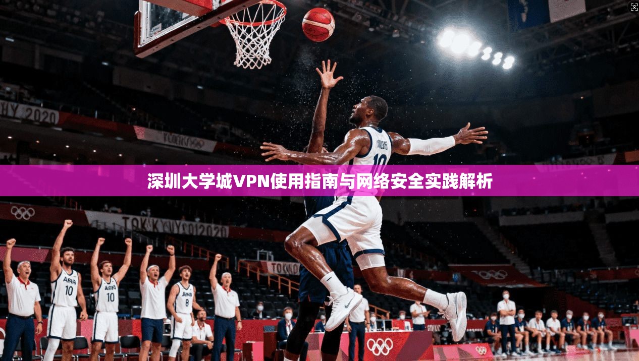 深圳大学城VPN使用指南与网络安全实践解析
