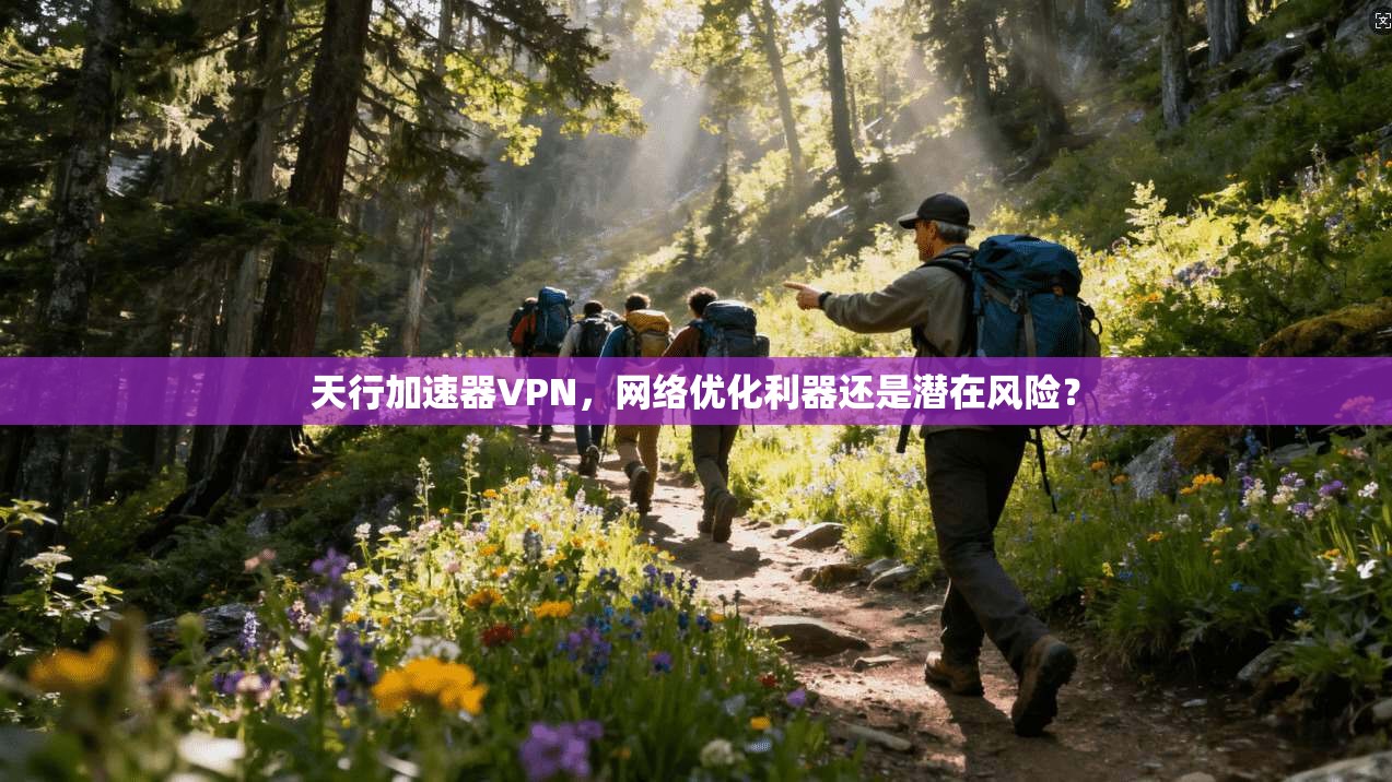 天行加速器VPN，网络优化利器还是潜在风险？