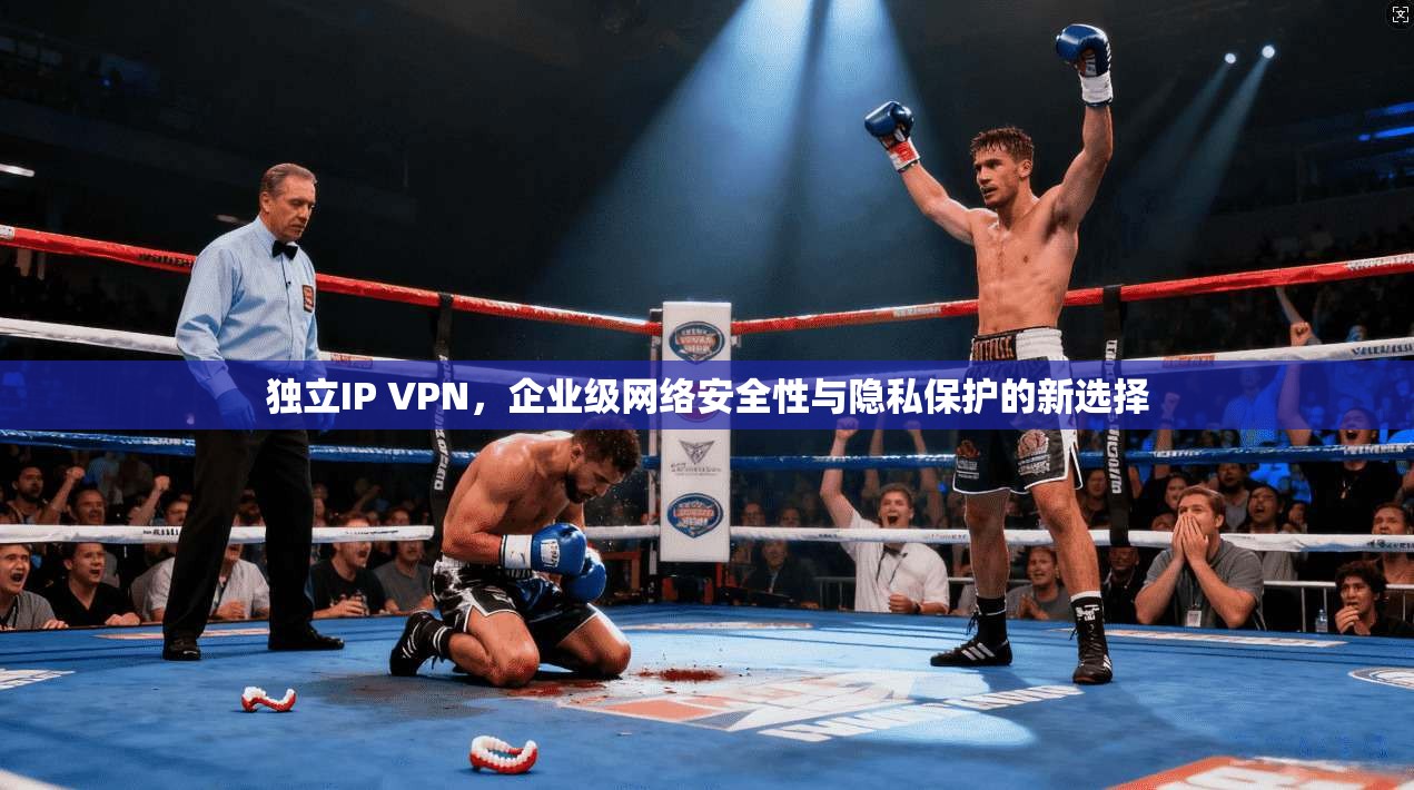 独立IP VPN，企业级网络安全性与隐私保护的新选择