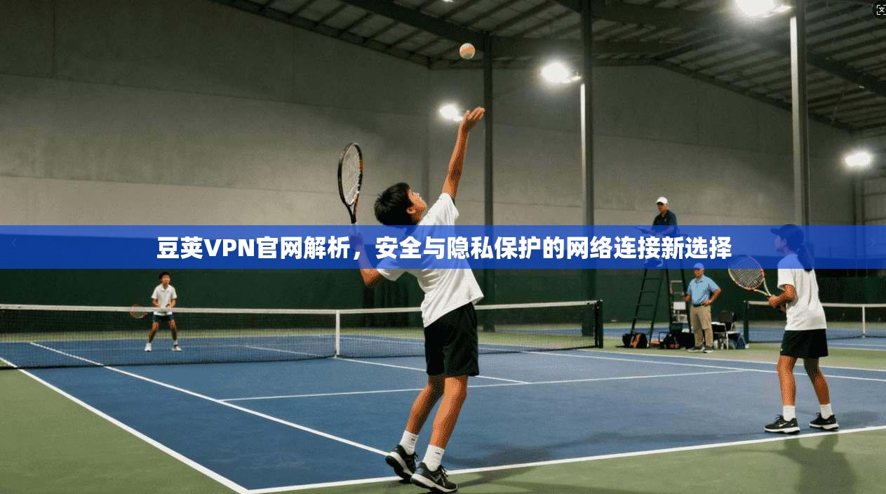 豆荚VPN官网解析，安全与隐私保护的网络连接新选择