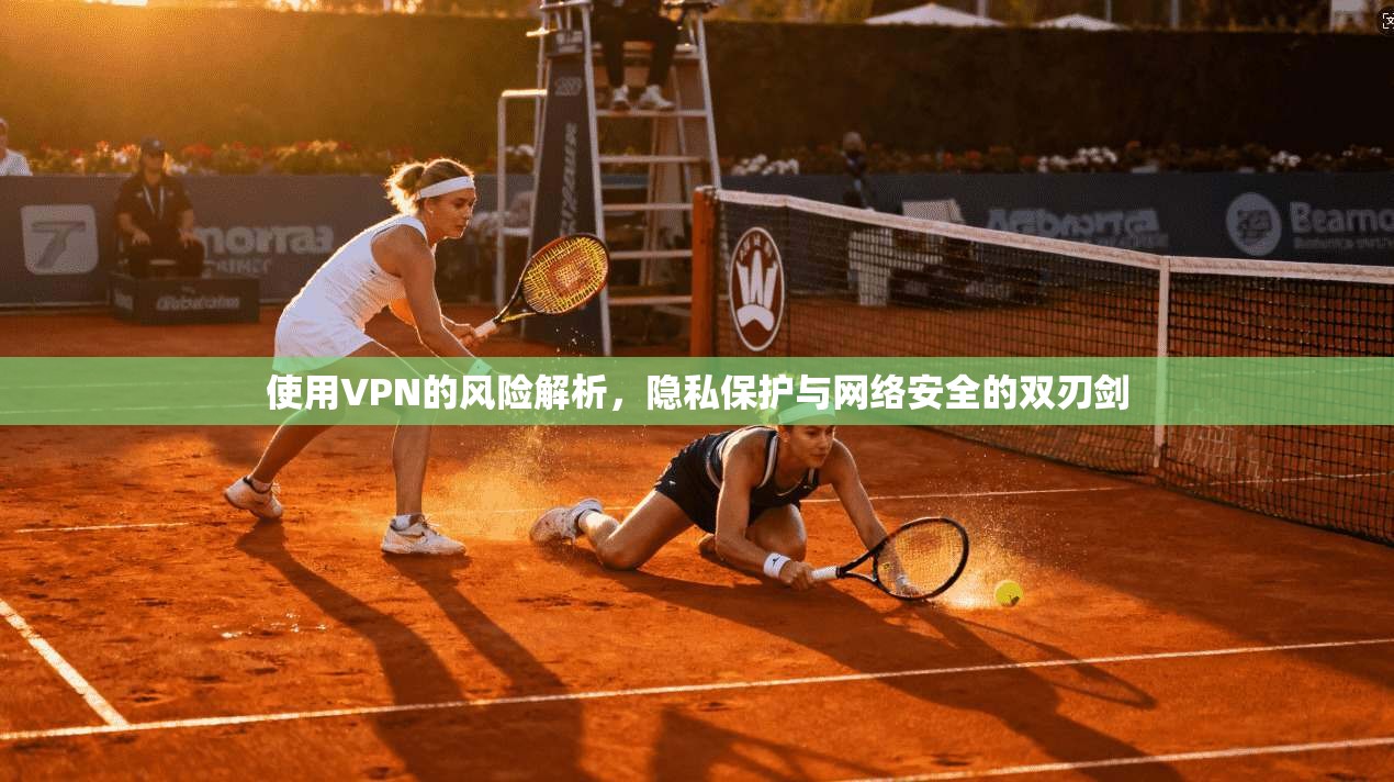 使用VPN的风险解析，隐私保护与网络安全的双刃剑