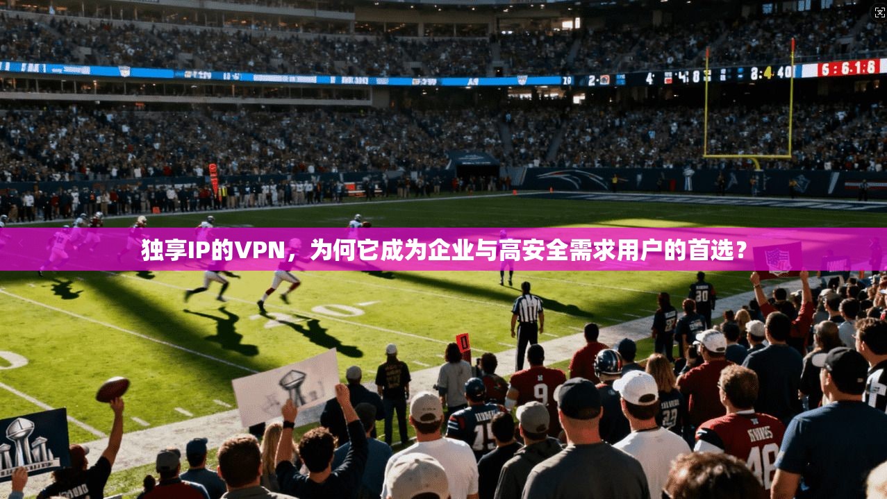 独享IP的VPN，为何它成为企业与高安全需求用户的首选？