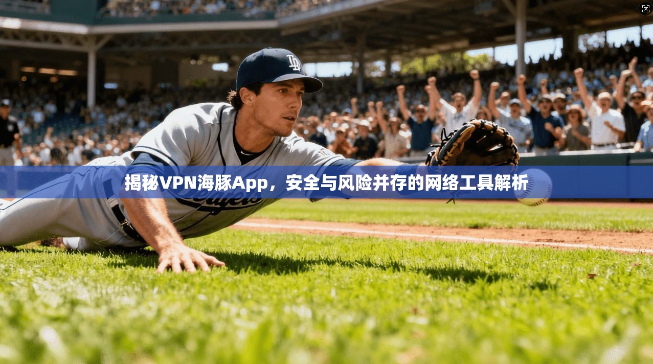 揭秘VPN海豚App，安全与风险并存的网络工具解析