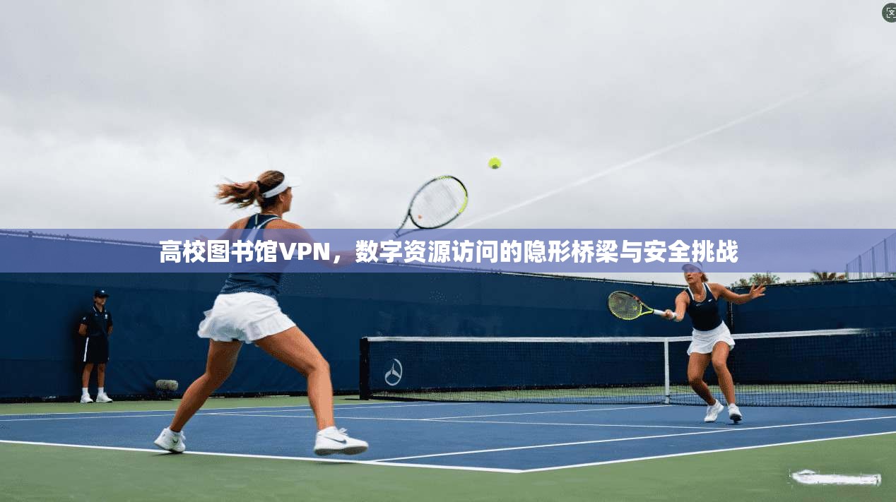 高校图书馆VPN，数字资源访问的隐形桥梁与安全挑战