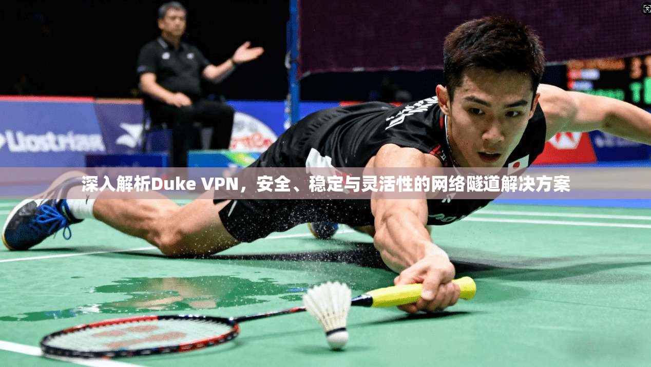 深入解析Duke VPN，安全、稳定与灵活性的网络隧道解决方案