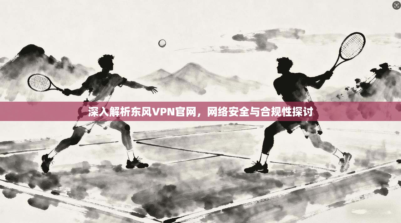 深入解析东风VPN官网，网络安全与合规性探讨