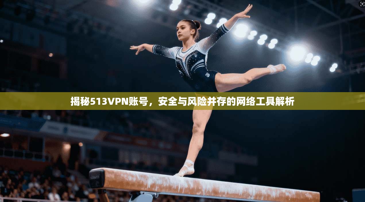 揭秘513VPN账号，安全与风险并存的网络工具解析