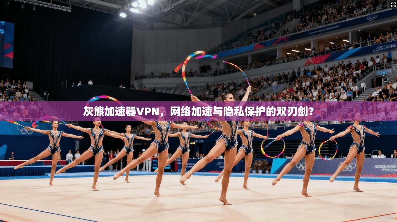灰熊加速器VPN，网络加速与隐私保护的双刃剑？