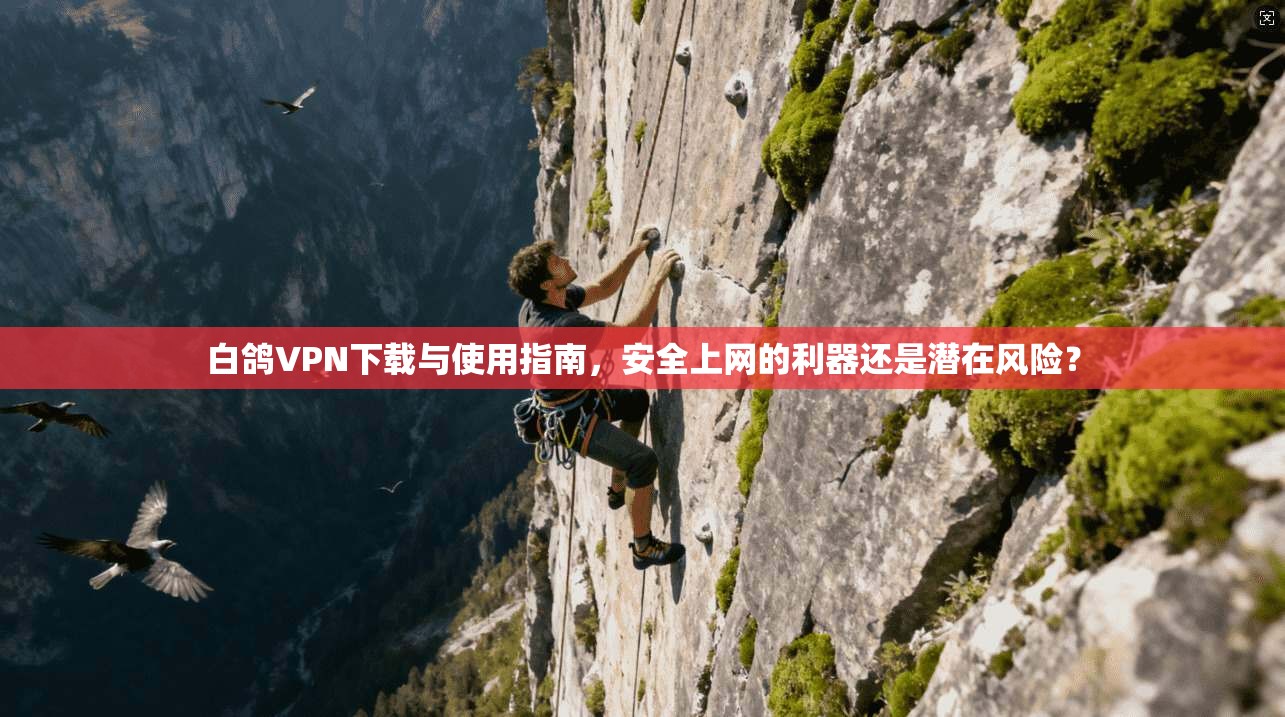 白鸽VPN下载与使用指南，安全上网的利器还是潜在风险？
