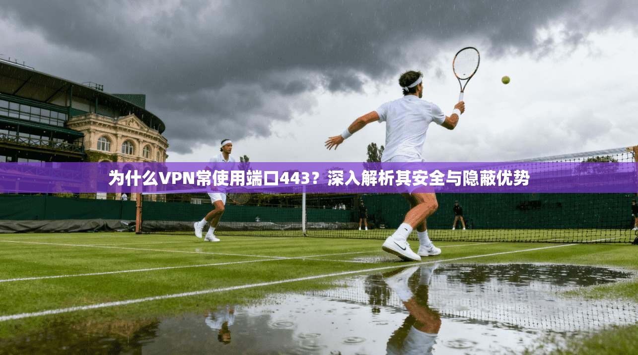 为什么VPN常使用端口443?深入解析其安全与隐蔽优势 为什么VPN常使用端口443?深入解析其安全与隐蔽优势