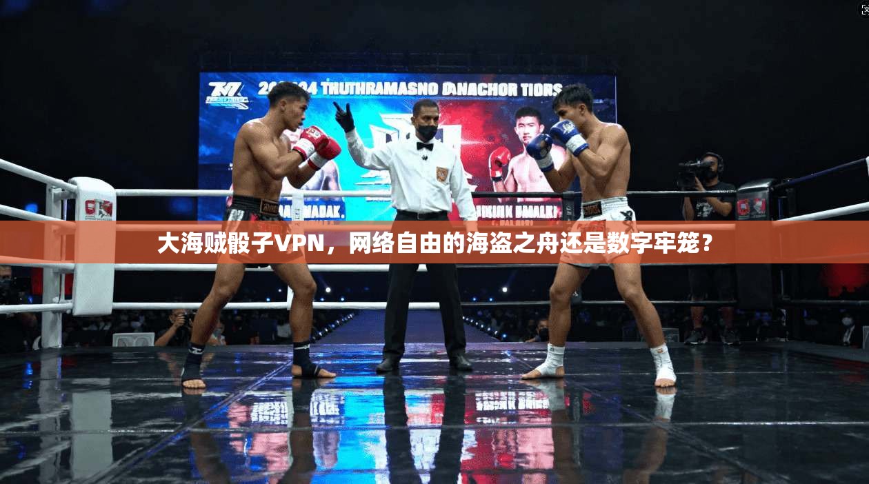 大海贼骰子VPN，网络自由的海盗之舟还是数字牢笼？