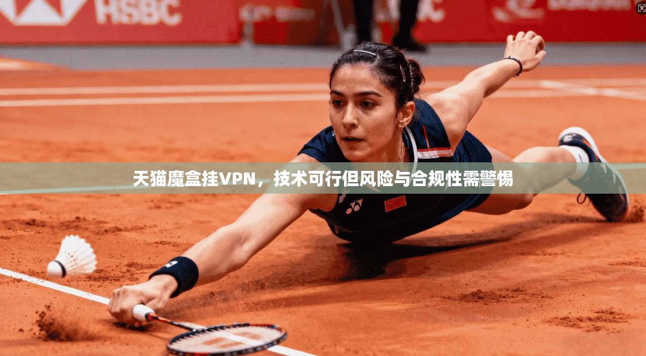 天猫魔盒挂VPN，技术可行但风险与合规性需警惕