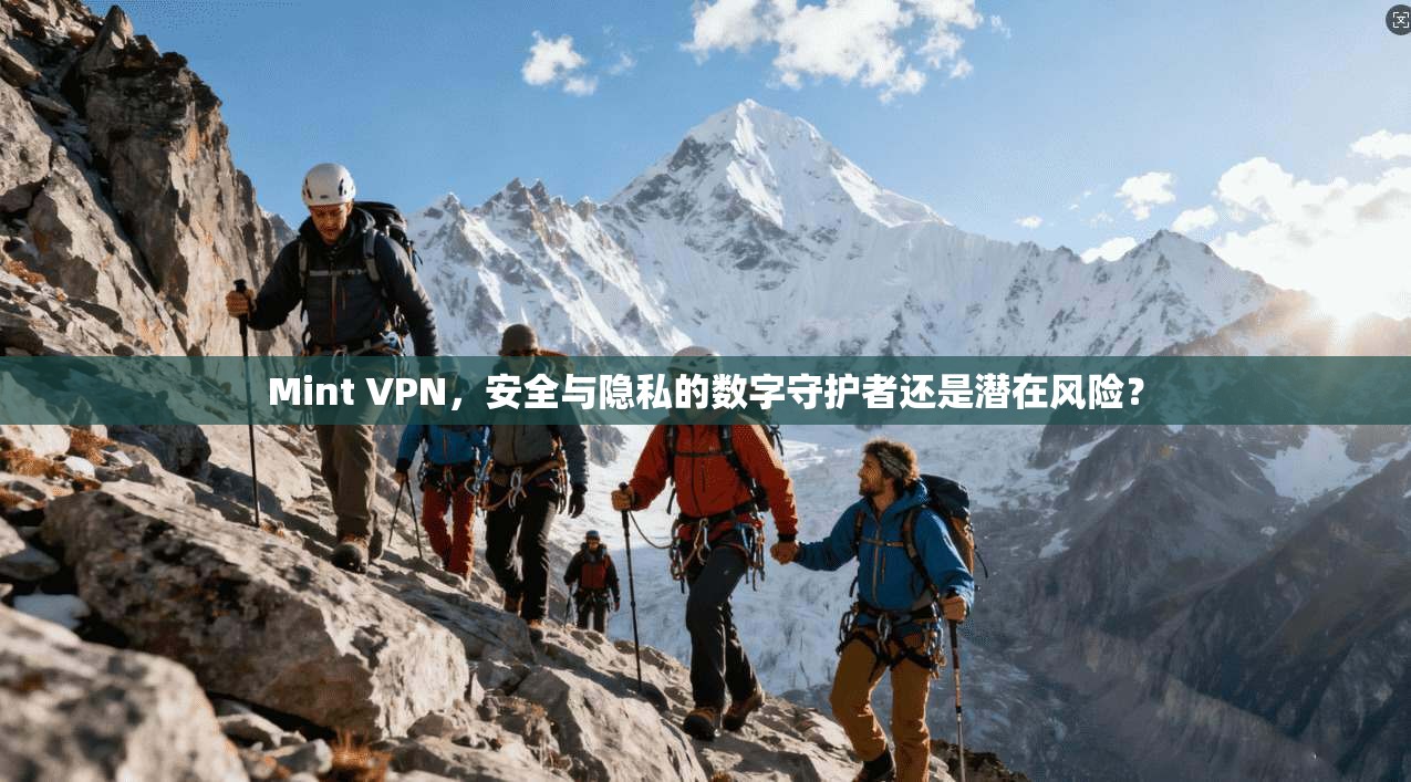Mint VPN，安全与隐私的数字守护者还是潜在风险？