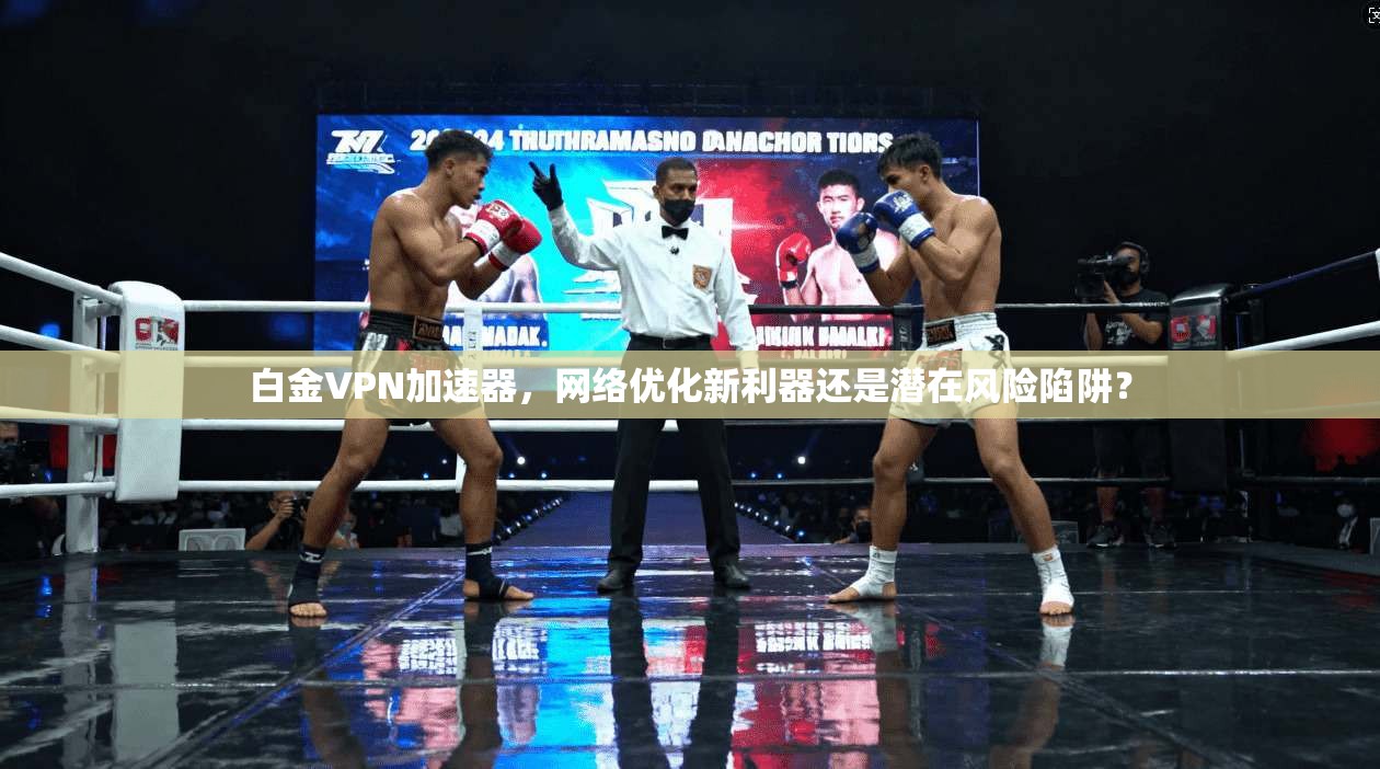 白金VPN加速器，网络优化新利器还是潜在风险陷阱？