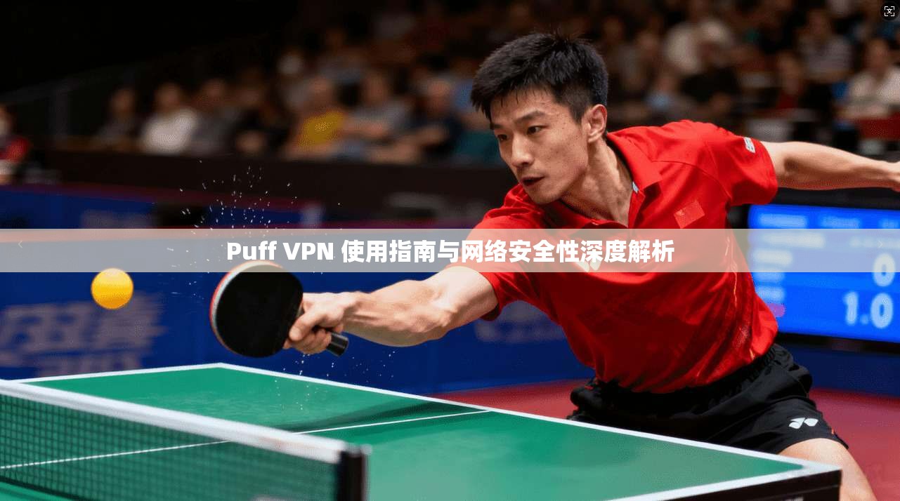 Puff VPN 使用指南与网络安全性深度解析