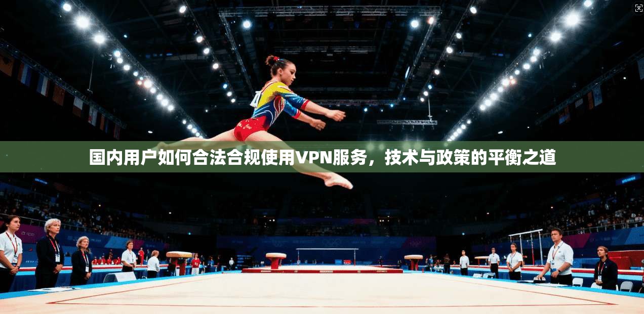 国内用户如何合法合规使用VPN服务，技术与政策的平衡之道
