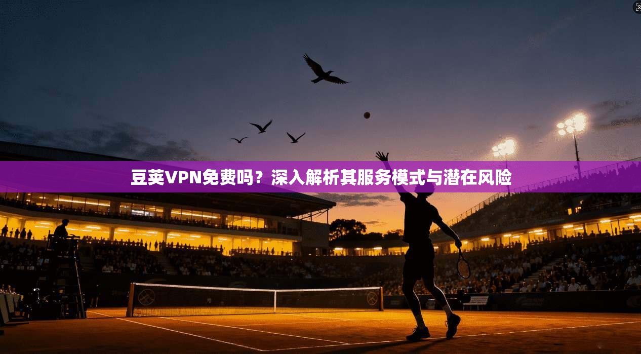 豆荚VPN免费吗？深入解析其服务模式与潜在风险