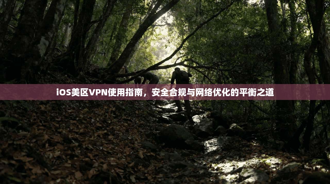 iOS美区VPN使用指南，安全合规与网络优化的平衡之道