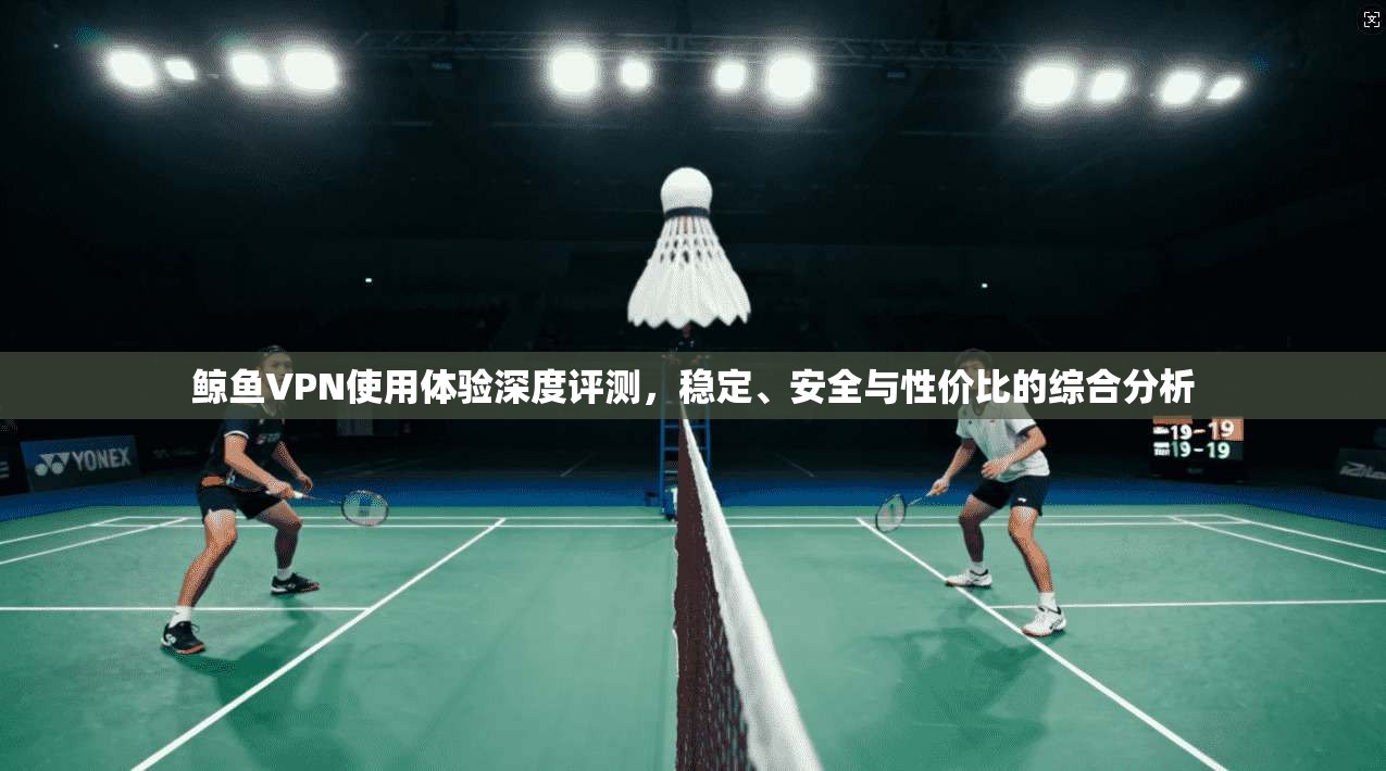 鲸鱼VPN使用体验深度评测，稳定、安全与性价比的综合分析