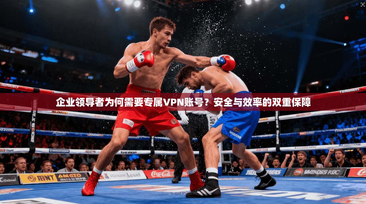 企业领导者为何需要专属VPN账号？安全与效率的双重保障