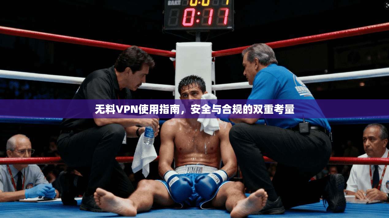 无料VPN使用指南，安全与合规的双重考量