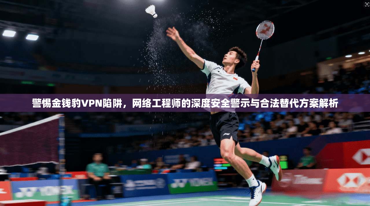 警惕金钱豹VPN陷阱，网络工程师的深度安全警示与合法替代方案解析