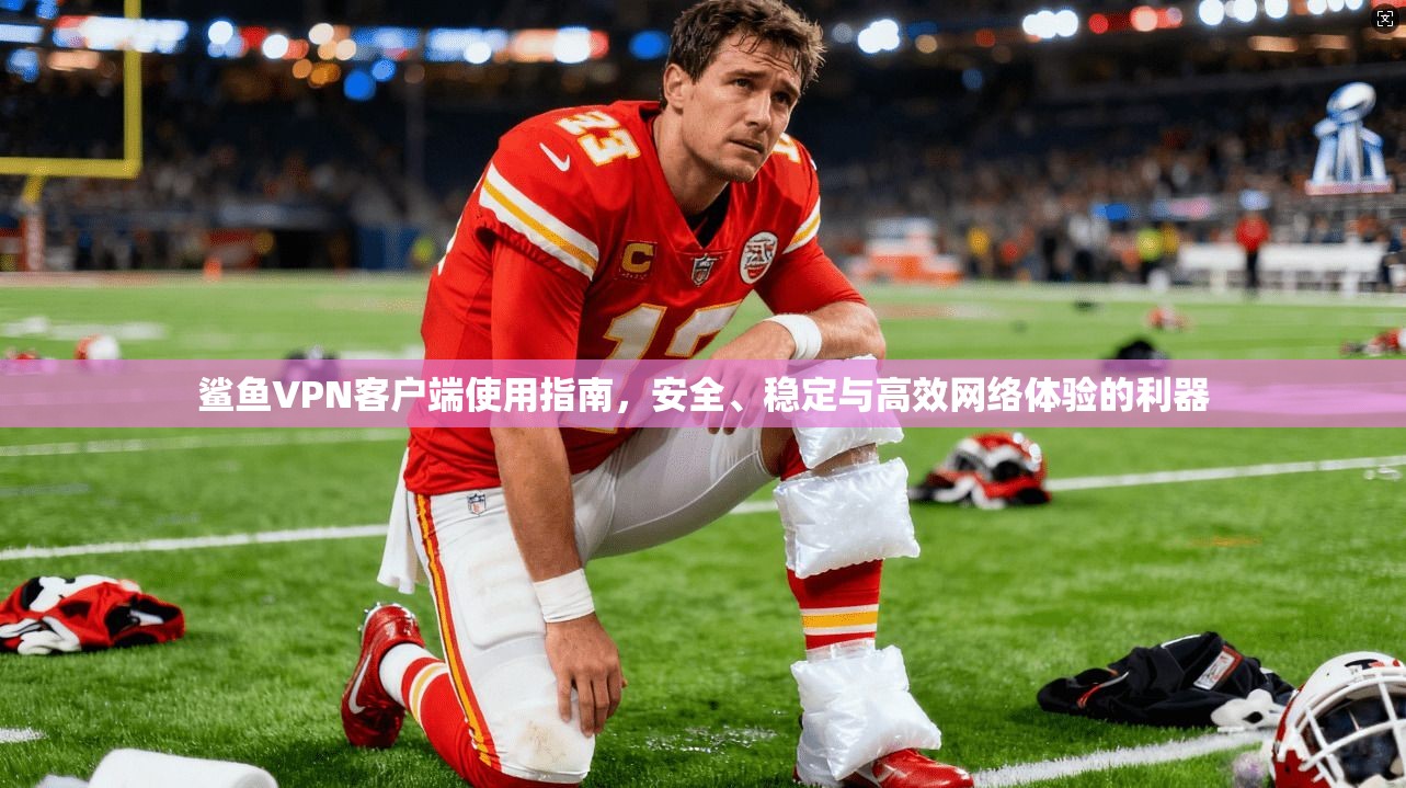 鲨鱼VPN客户端使用指南，安全、稳定与高效网络体验的利器