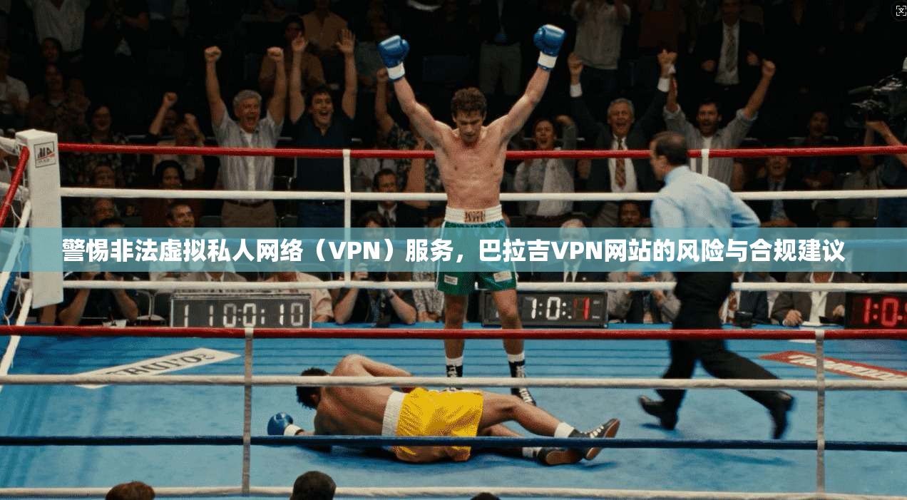 警惕非法虚拟私人网络（VPN）服务，巴拉吉VPN网站的风险与合规建议