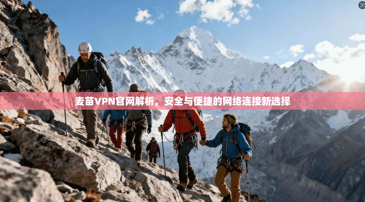 麦苗VPN官网解析，安全与便捷的网络连接新选择